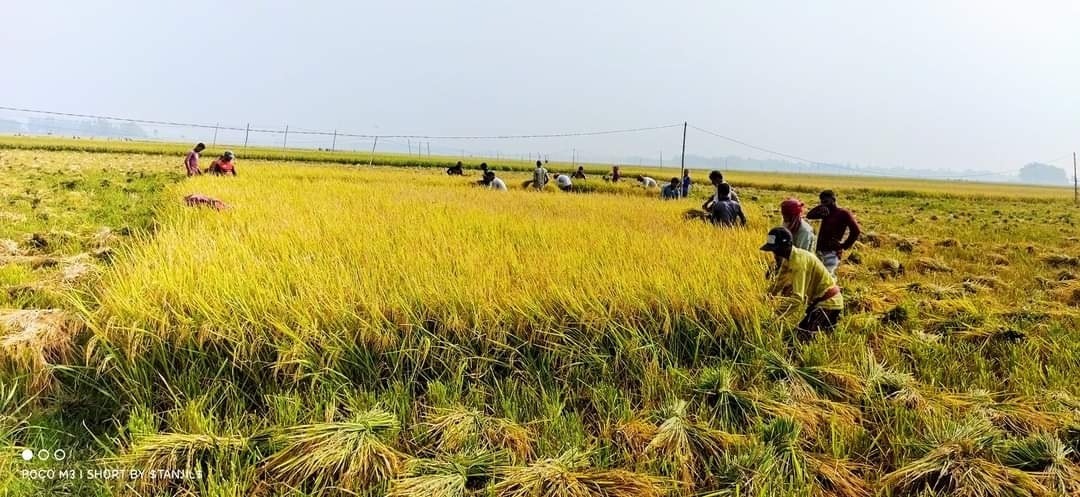 WhatsApp Image 2025-01-06 at 18.57.10